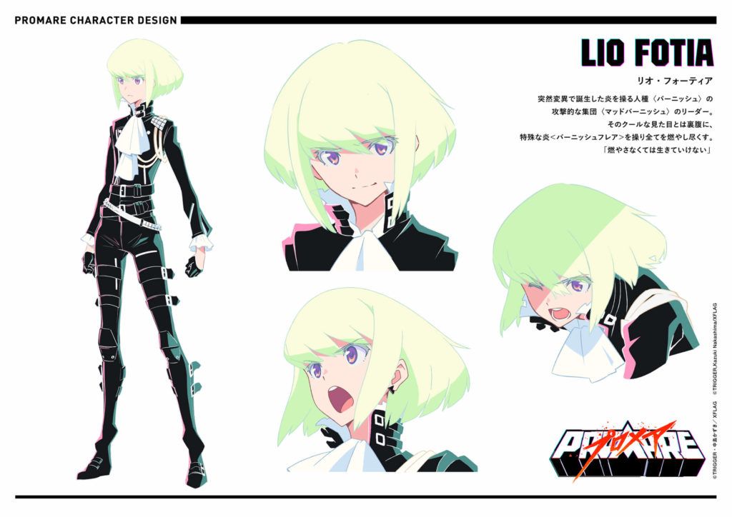 lio-fotia-1024x724