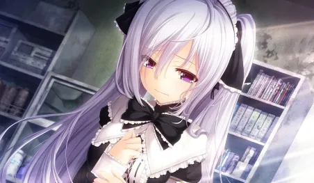 Ya no se observan maids en las calles de Akihabara