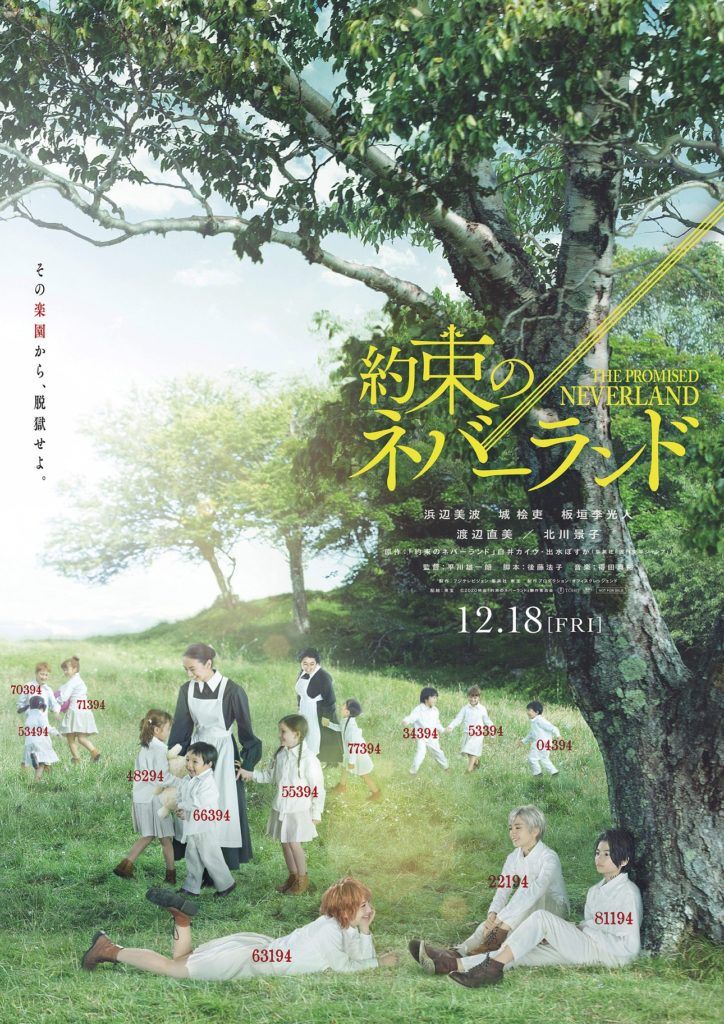 neverland_teaser-724x1024