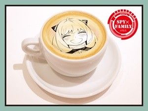 6-6