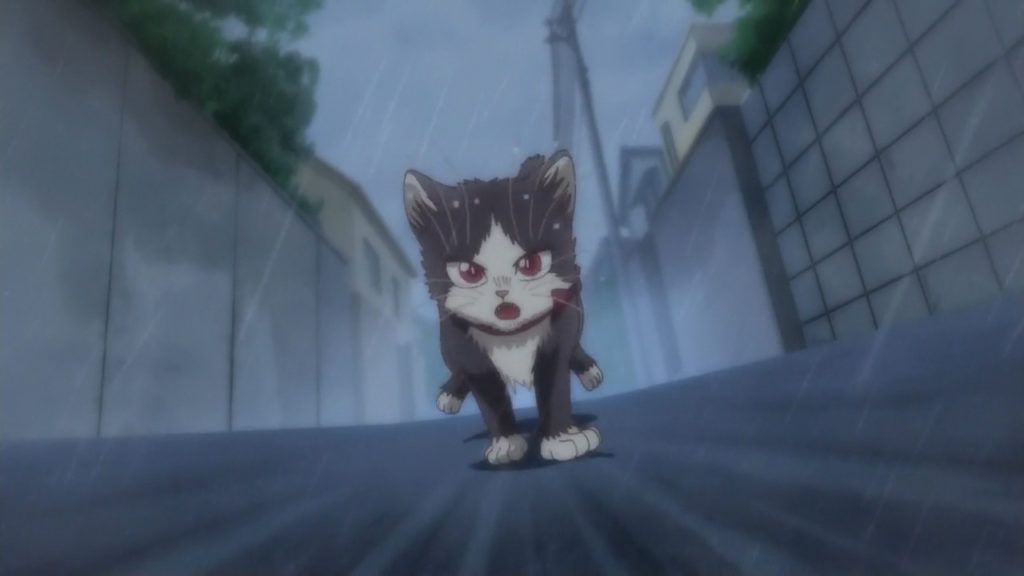 Ohys-Raws-Doukyonin-wa-Hiza-Tokidoki-Atama-no-Ue.-12-END-AT-X-1280x720-x264-AAC.00_04_31_05.Imagen-fija016-1024x576