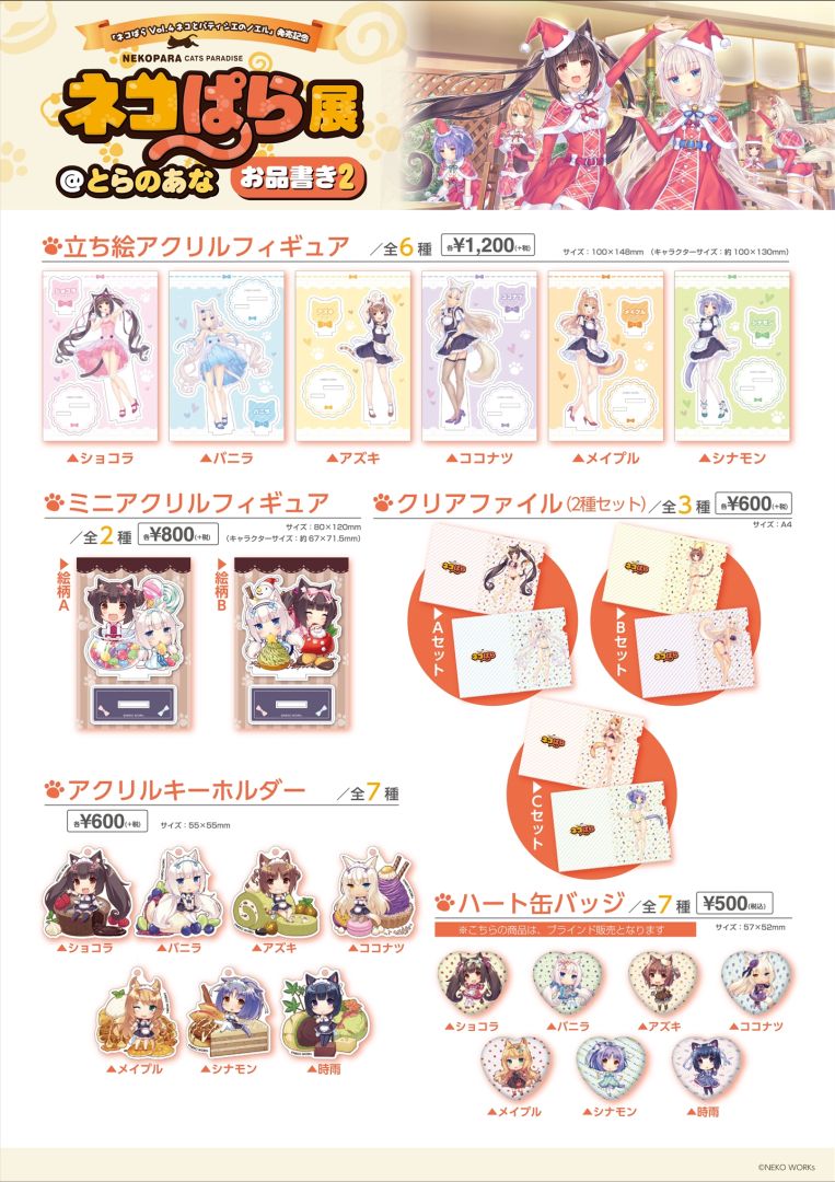 visual-1-1