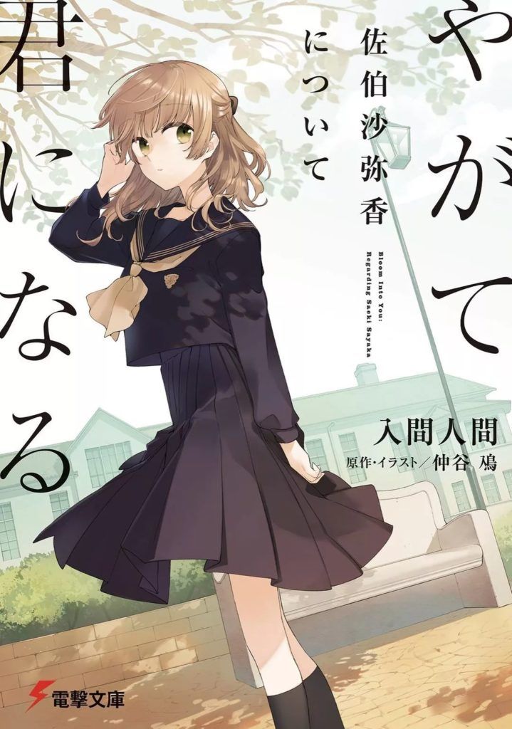 yagakimi-saekisayakanitsuite-719x1024