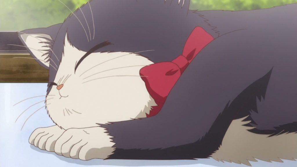 Ohys-Raws-Doukyonin-wa-Hiza-Tokidoki-Atama-no-Ue.-07-AT-X-1280x720-x264-AAC.00_00_10_20.Imagen-fija002-1024x576