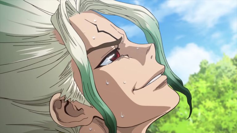 Revelan nuevos miembros del elenco de Dr. Stone