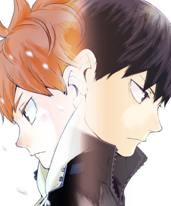 &#12495;&#12452;&#12461;&#12517;&#12540;&#31532;4&#26399;3