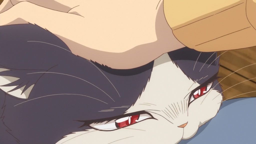 Ohys-Raws-Doukyonin-wa-Hiza-Tokidoki-Atama-no-Ue.-12-END-AT-X-1280x720-x264-AAC.00_20_05_21.Imagen-fija119-1024x576