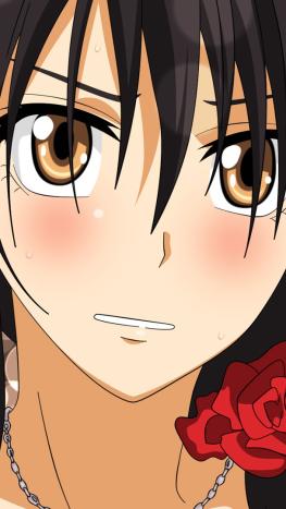 El regreso de Misaki y Usui: Kaichou wa Maid-sama! anuncia un nuevo capítulo especial