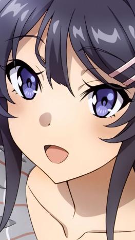¡El Clímax se Acerca! Lanzan nuevo tráiler de la película final de Seishun Buta Yarou