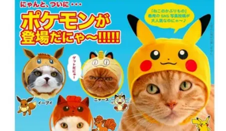 La empresa Kitan Club lanza línea Pokemon de sombreros para gatos