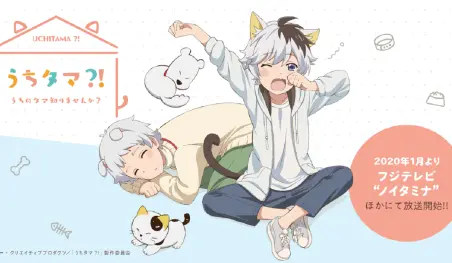 La nueva adaptación al anime de Uchi Tama!? se estrenará en 2020