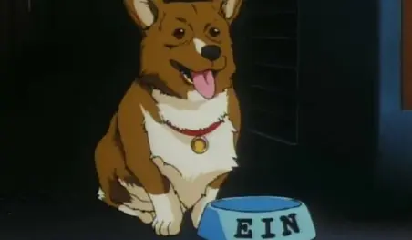 Ein será interpretado por un Welsh Corgi en el live-action de Cowboy Bebop