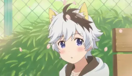 Revelan nuevo video promocional para el anime Uchi Tama?! Uchi no Tama Shirimasenka?