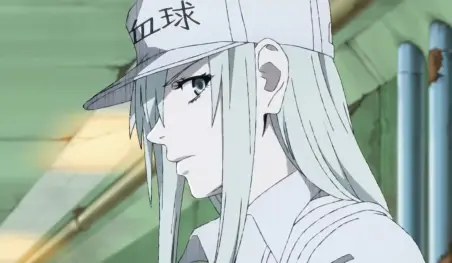 Hataraku Saibou Black revela su primer visual