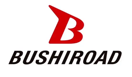 Bushiroad nombra al fundador Takaaki Kidani como presidente de la junta directiva