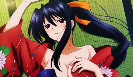 El juego Fantasia Re:Build celebra el cumpleaños de Akeno Himejima con una ilustración