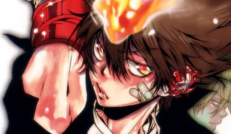 La autora de Katekyo Hitman Reborn! dará un importante anuncio este mes