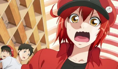 Hataraku Saibou!! apenas supera 1,000 ventas con su primer Blu-ray/DVD