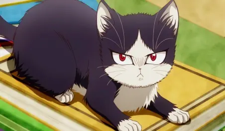 Japón: La conmovedora historia del dueño de un gato enfermo y la venta de su automóvil