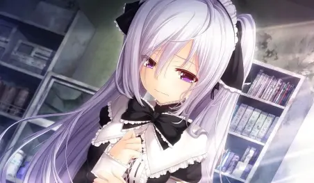 Ya no se observan maids en las calles de Akihabara