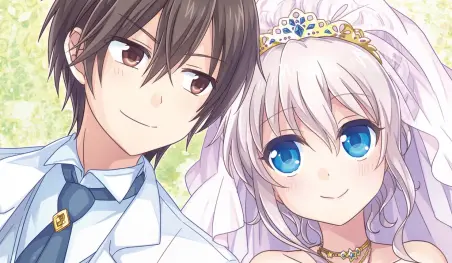 Japón: Arrestan a un sujeto por falsificar un certificado de matrimonio con una mujer
