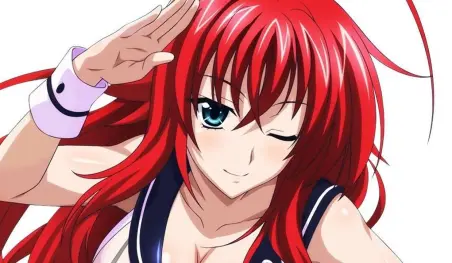 High School DxD celebra el cumpleaños de Rias Gremory
