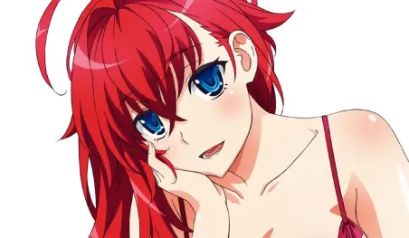 Han pasado cinco años sin noticias de High School DxD