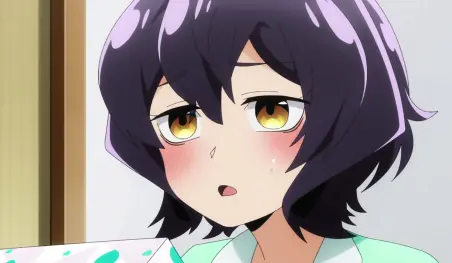 Mahou Shoujo ni Akogarete entra en suspensión