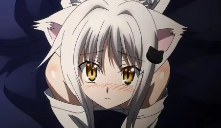 Un gato tóxico aterroriza a Japón
