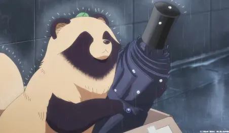 Un tanuki llega con With You and the Rain
