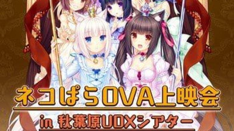 El OVA de Nekopara será proyectado en los cines de Japón
