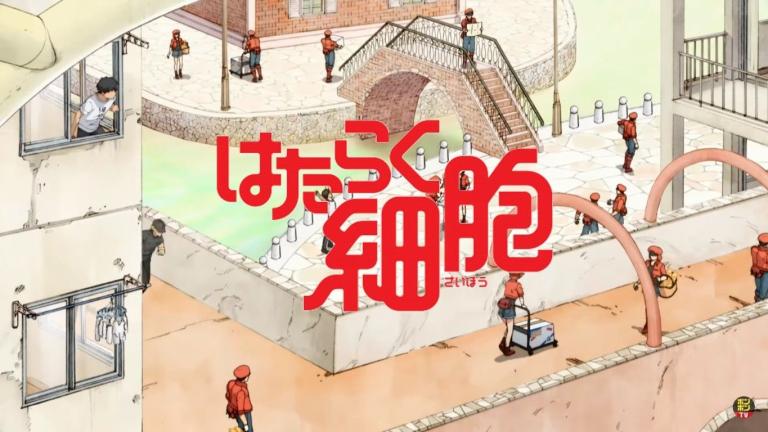 El anime Hataraku Saibō tendrá 13 episodios