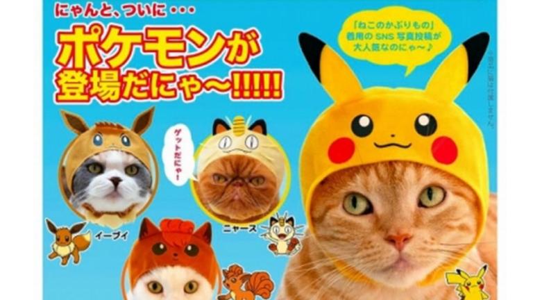 La empresa Kitan Club lanza línea Pokemon de sombreros para gatos