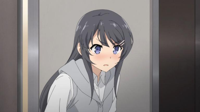 Reseña | Seishun Buta Yarou wa Bunny Girl Senpai no Yume wo Minai - Capítulo 2