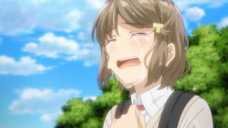 Reseña | Seishun Buta Yarou wa Bunny Girl Senpai no Yume wo Minai - Capítulo 6