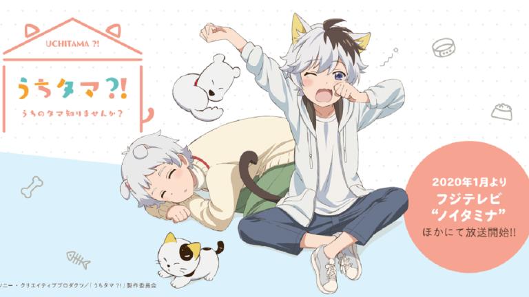 La nueva adaptación al anime de Uchi Tama!? se estrenará en 2020