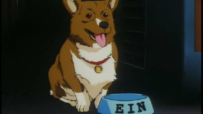 Ein será interpretado por un Welsh Corgi en el live-action de Cowboy Bebop