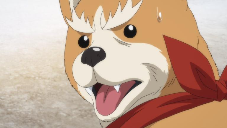 Oda Cinnamon Nobunaga colabora con Shirokuma Cafe en una ilustración