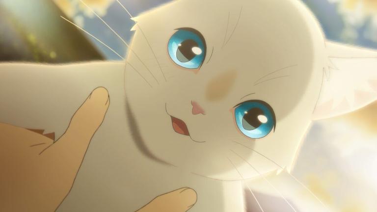 Revelan nuevo video promocional para la película original Nakitai Watashi wa Neko o Kaburu