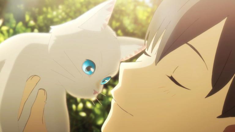Se revela un nuevo trailer para la película Nakitai Watashi wa Neko wo Kaburu