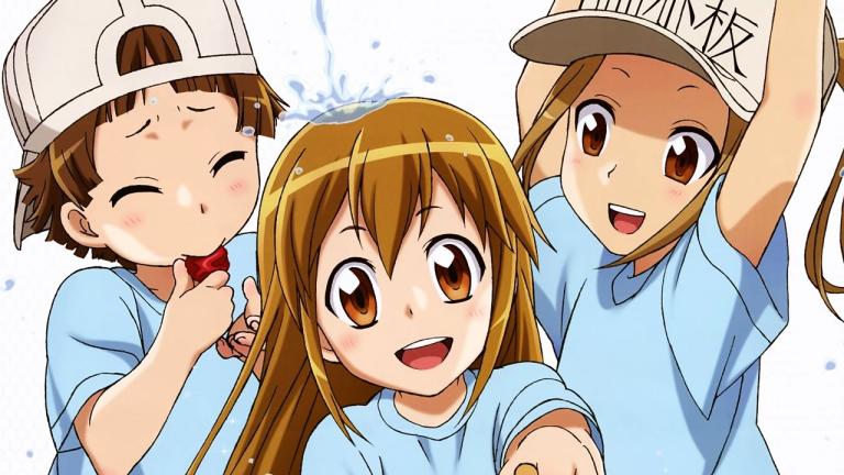 Hataraku Saibou realizará una transmisión especial en julio