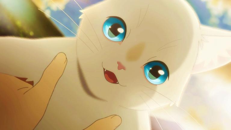Nakitai Watashi wa Neko wo Kaburu revela un nuevo video promocional