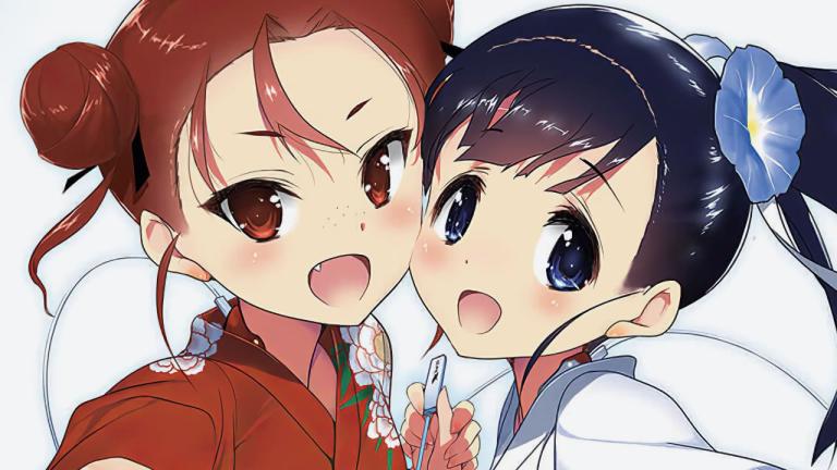 Las novelas ligeras Accel World revelan la portada de su volumen 25