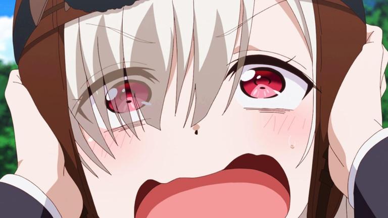 El anime original Senyoku no Sigrdrifa tuvo un ending diferente en el episodio 4