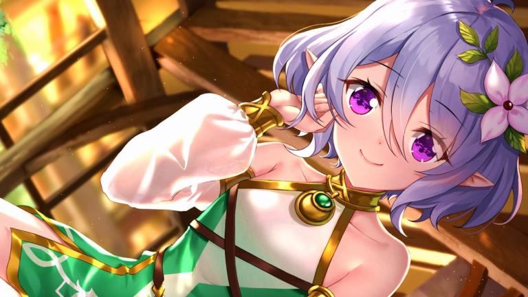 Princess Connect! Re:Dive: La fotografía de un fanático con Kokkoro despierta una polémica