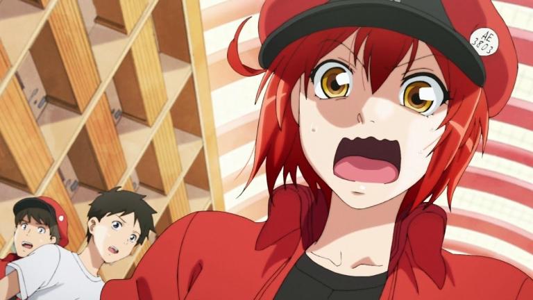 Hataraku Saibou!! apenas supera 1,000 ventas con su primer Blu-ray/DVD