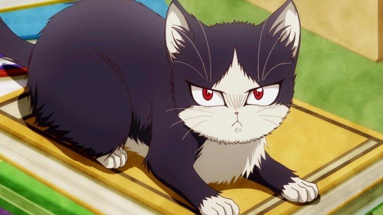 Japón: La conmovedora historia del dueño de un gato enfermo y la venta de su automóvil