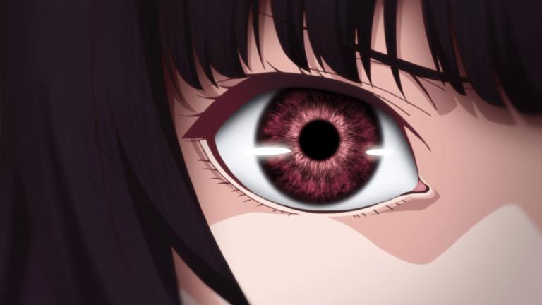 Japón: Arrestan a un adulto mayor por robar DVDs de anime