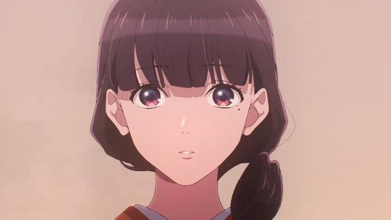 Las novelas Watashi no Shiawase na Kekkon tendrán adaptación al anime