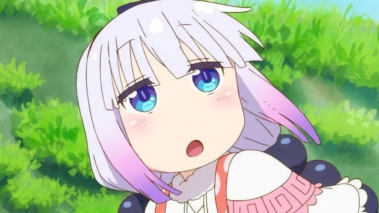 Cae un popular artista de lolis